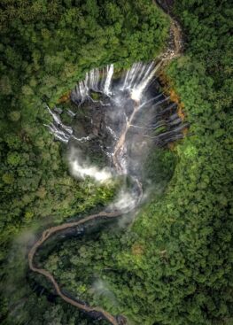 {{brizy_dc_image_alt imageSrc=